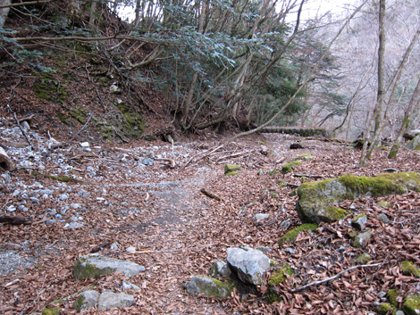 20200110hike (400)